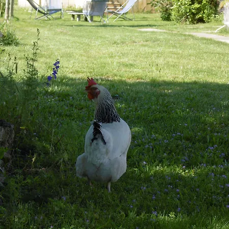 La Cadournaise Bed & Breakfast Saint-Seurin-de-Cadourne