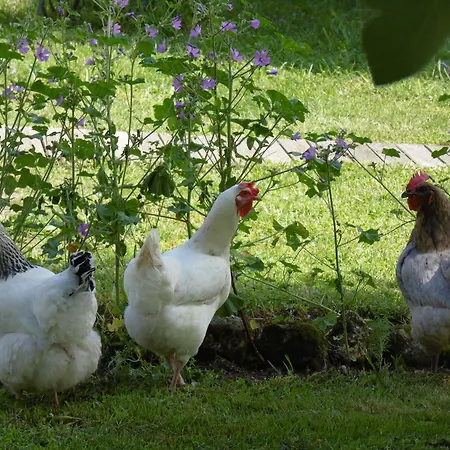 La Cadournaise Bed & Breakfast Saint-Seurin-de-Cadourne