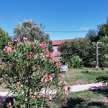 Bed & Breakfast La Cadournaise
